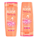 KIT-ELSEVE-SH-375ML-COND-170ML-LONGO-DOS-SONHOS