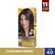 TINT-COR-E-TON-40-CASTANHO-MEDIO