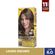 TINT-COR-E-TON-60-LOURO-ESCURO