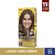 TINT-COR-E-TON-71-LOURO-CINZA-MEDIO
