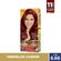 TINT-COR-E-TON-666-LOURO-ESCURO-VERMELHO