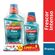 KIT-ENXAG-BUCAL-PLAX--ICE-INFINITY-LV500-PG350ML--250ML